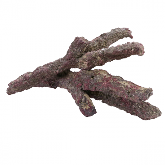 CaribSea Life Rock Branches-Seeded with Bacteria, Sponge and Pods *price per pound!*
