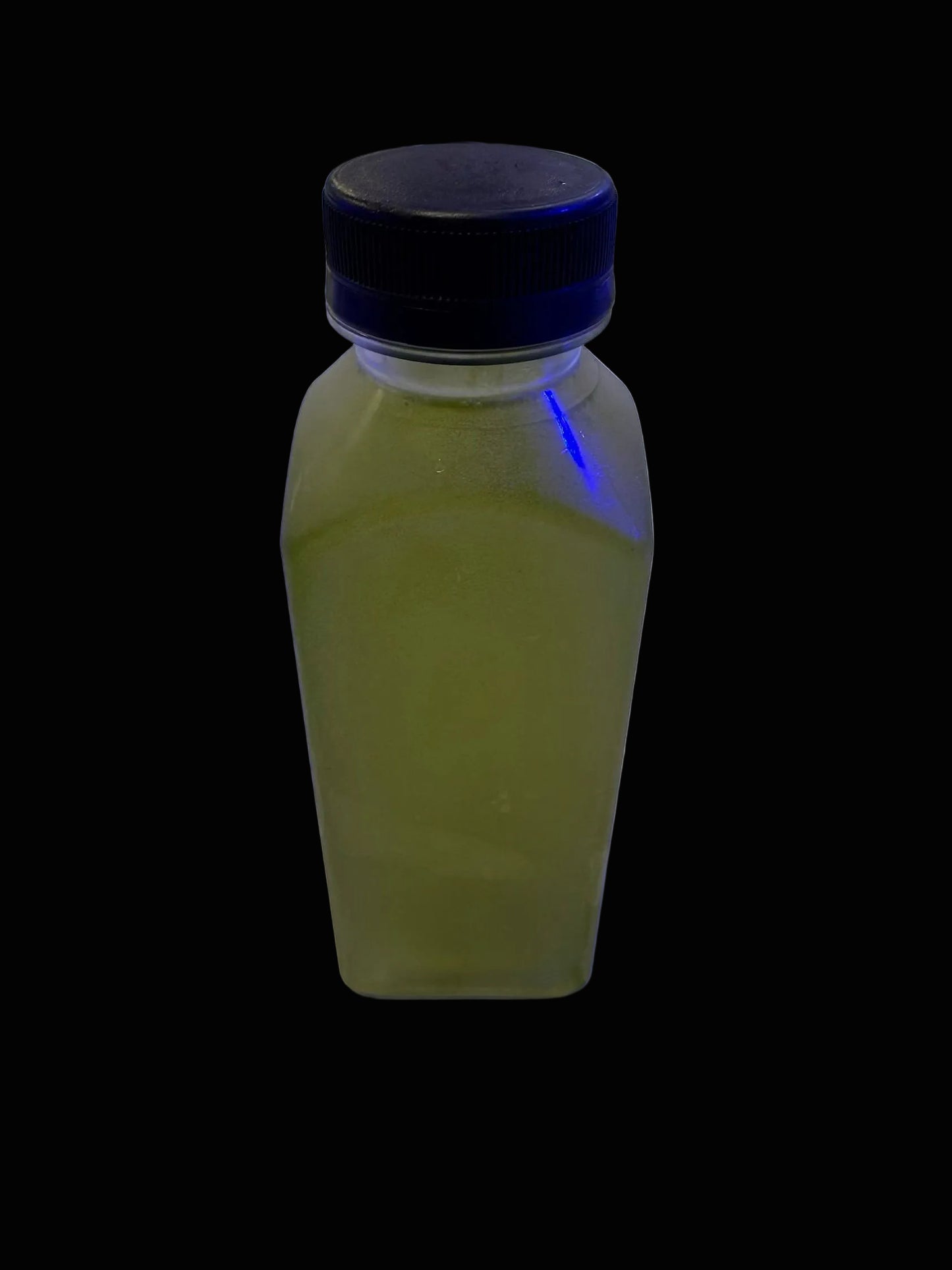 phytoplankton 12oz + Bottle