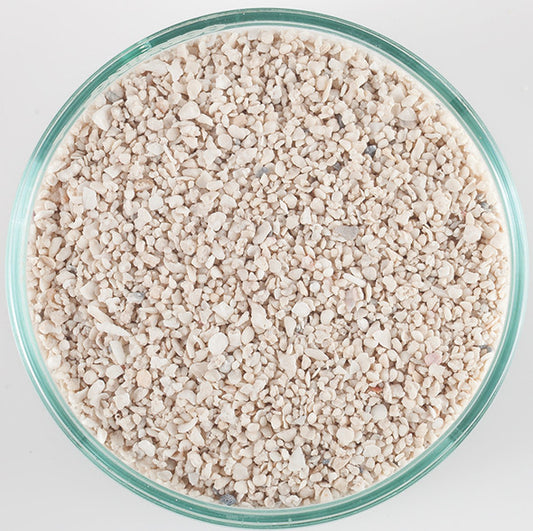 CaribSea Special Grade Live Sand