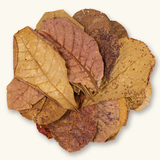 Indian Leaves